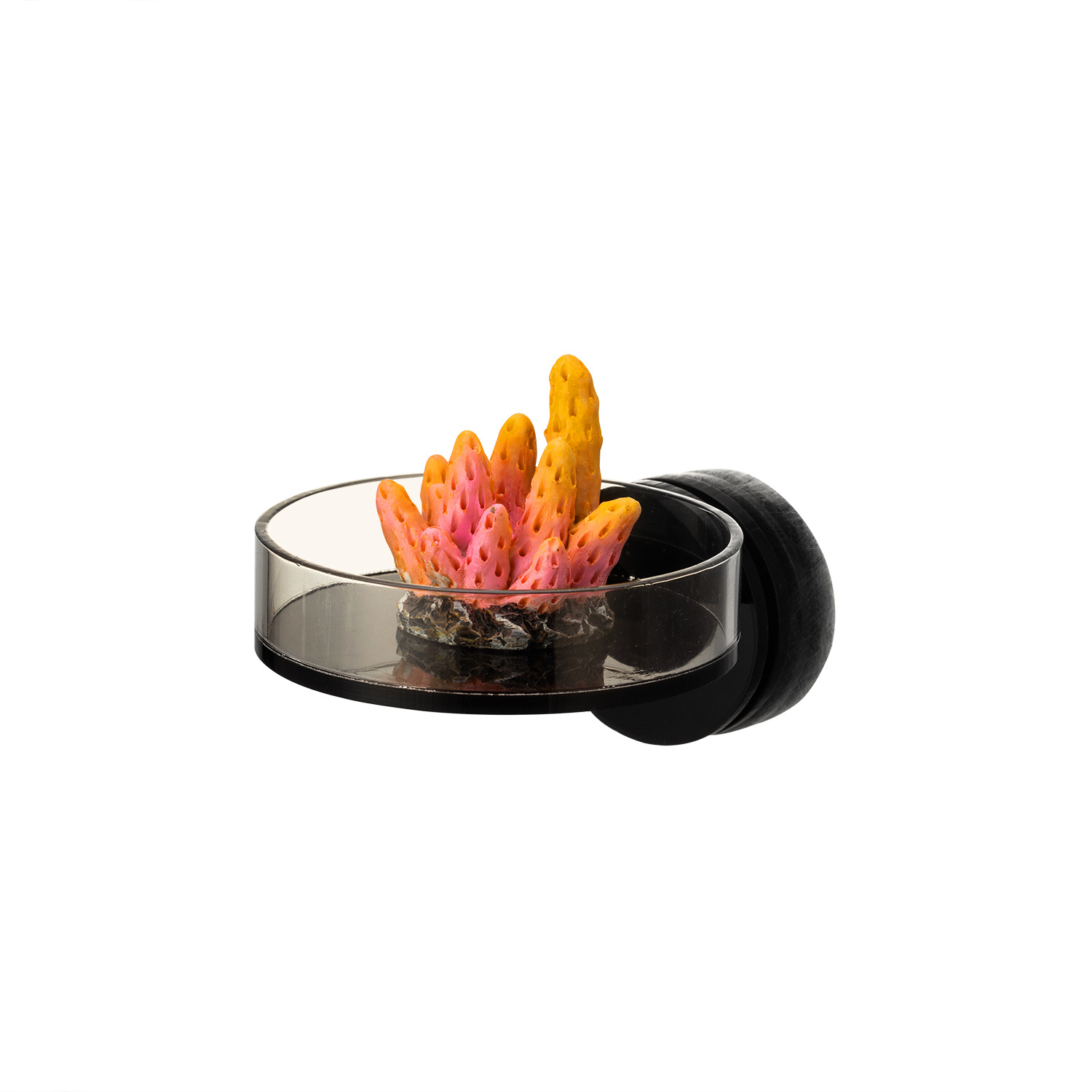Aquarium Marine - Marine Sources 70mm Black Magnetic Coral
