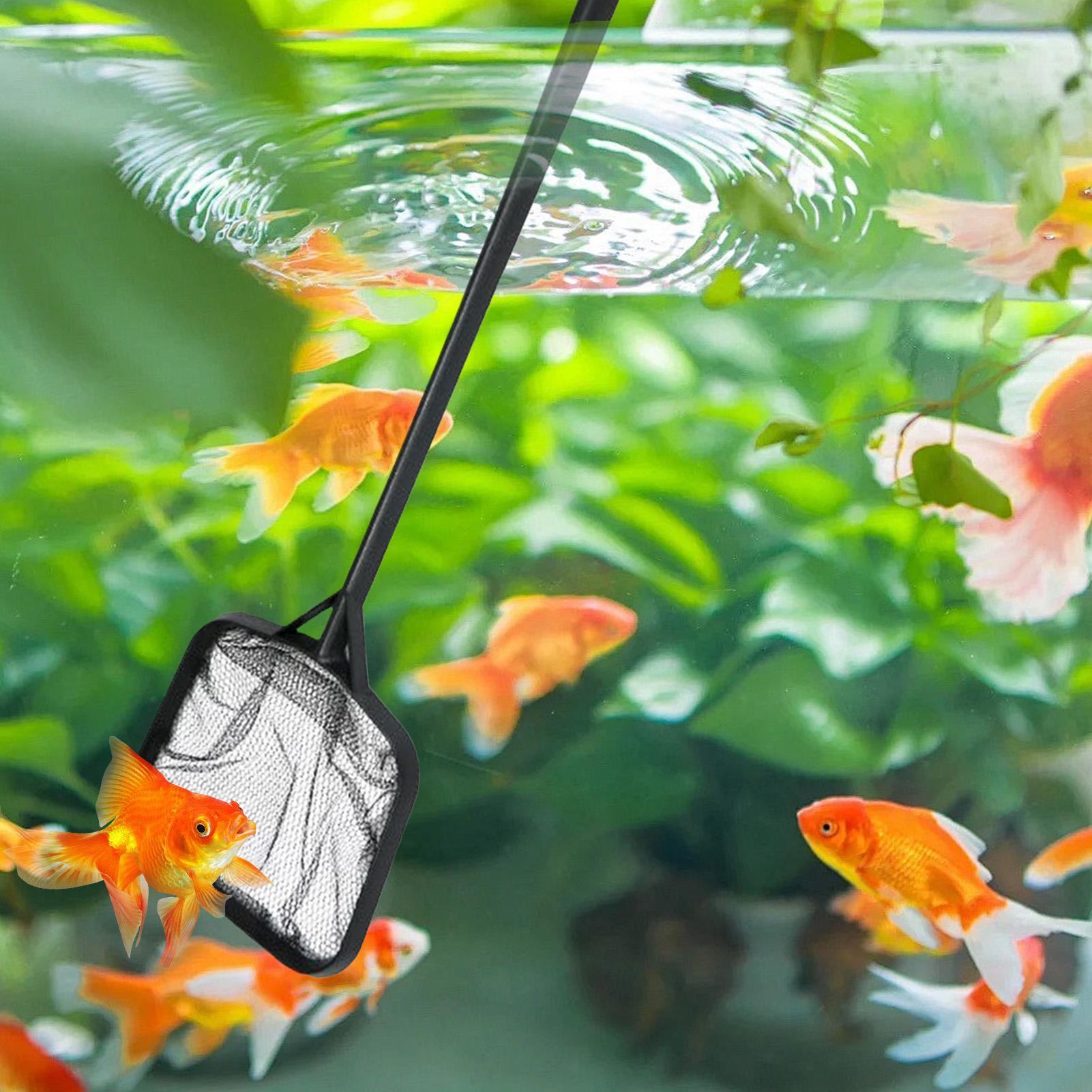 Pool Nets for Cleaning Portabl - огляд і ціна Aquarium Marine
